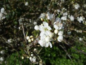 163518_640771625939829_1894762927_n