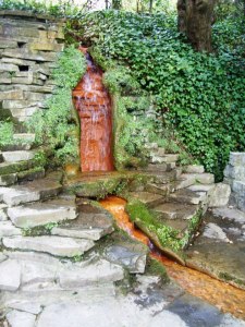 315968_640770845939907_1849314773_n