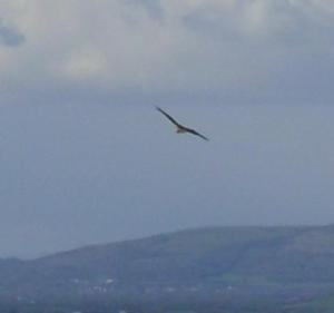 428392_640771899273135_1354650924_n