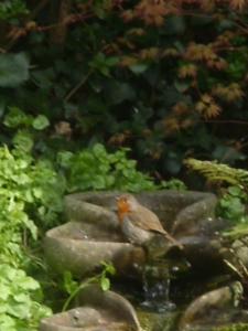 922997_640771302606528_2081870167_n