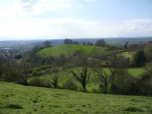 923567_640772005939791_1928502082_n