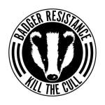 badger cull