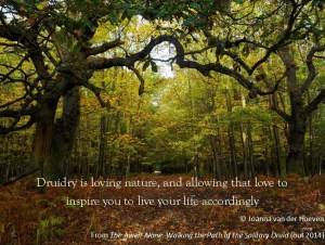 What is Druidry