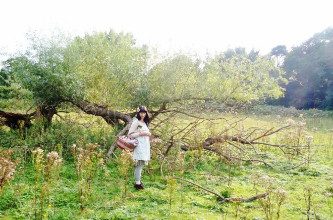 © Joanna van der Hoeven www.joannavanderhoeven.com