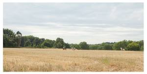 © Photography by Emily Fae, www.photographybyemilyfae.com