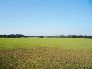 Site of Iron Age village, half a mile away from the burial mounds and sitting atop a hill, now a farmer's field. 
