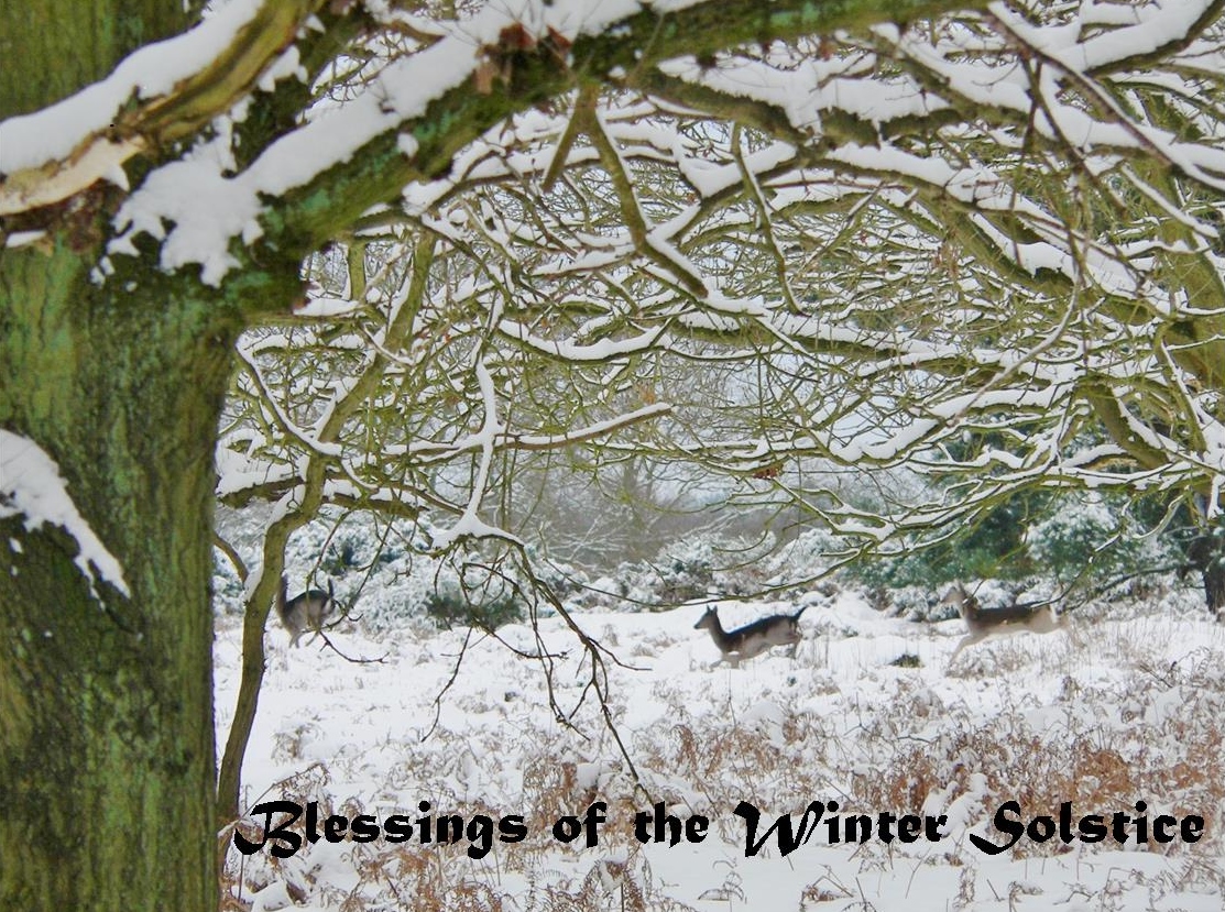 Winter Solstice 1 (2)
