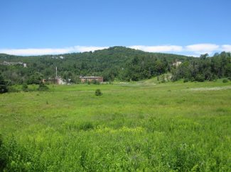 Valley in Summer 1