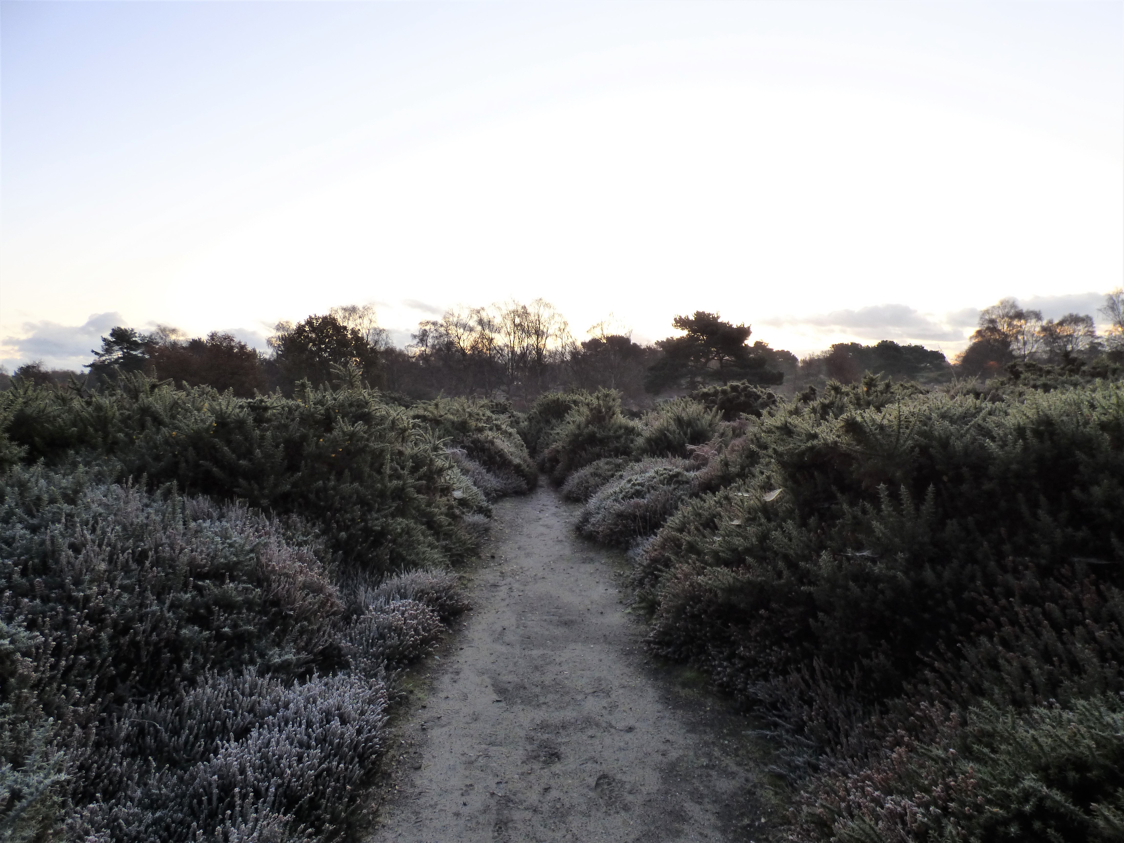 The Frosty Path to Dawn