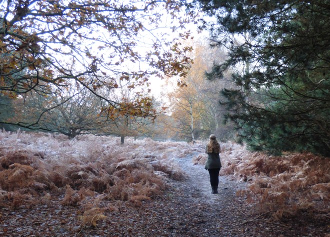 A Frosty Contemplation