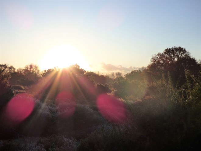 The Awen (Inspiration)