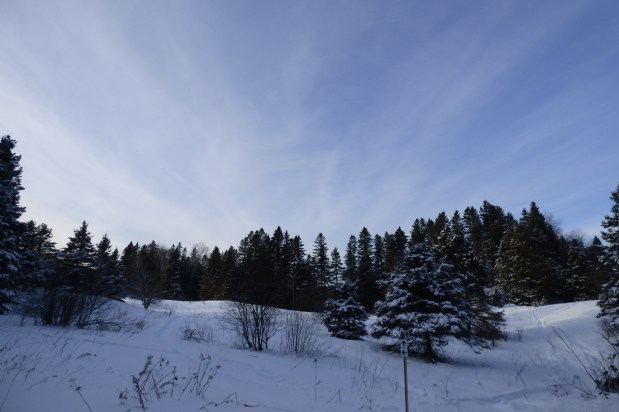 End of Year Blog for&nbsp;2024